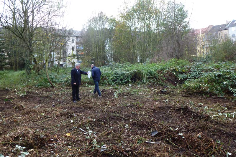 Grundstück 11. 11. 2014